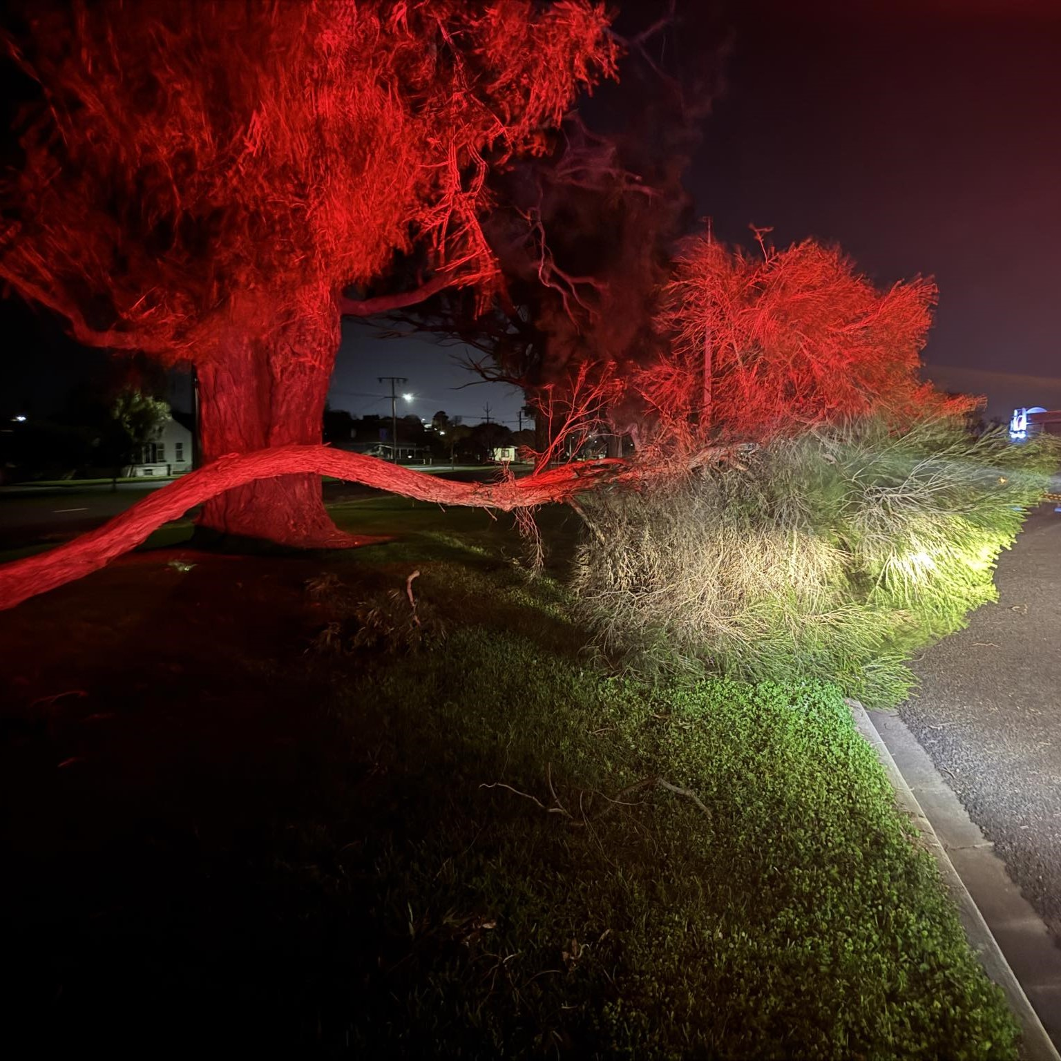 Wild weather again hits Limestone Coast