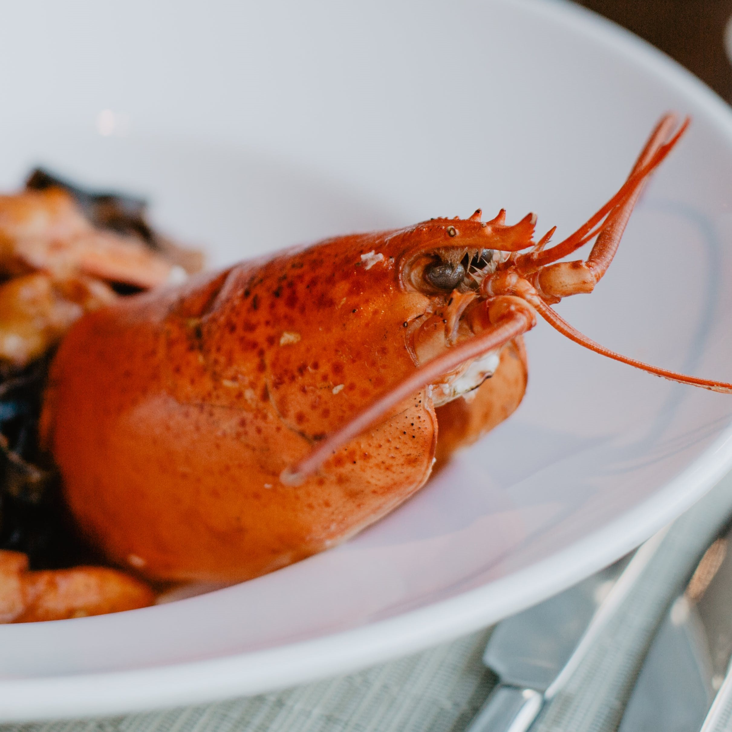 Limestone Coast Lobster back on the menu in China