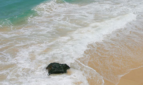 Newcastle's shark nets to be debated at tonight's council meeting