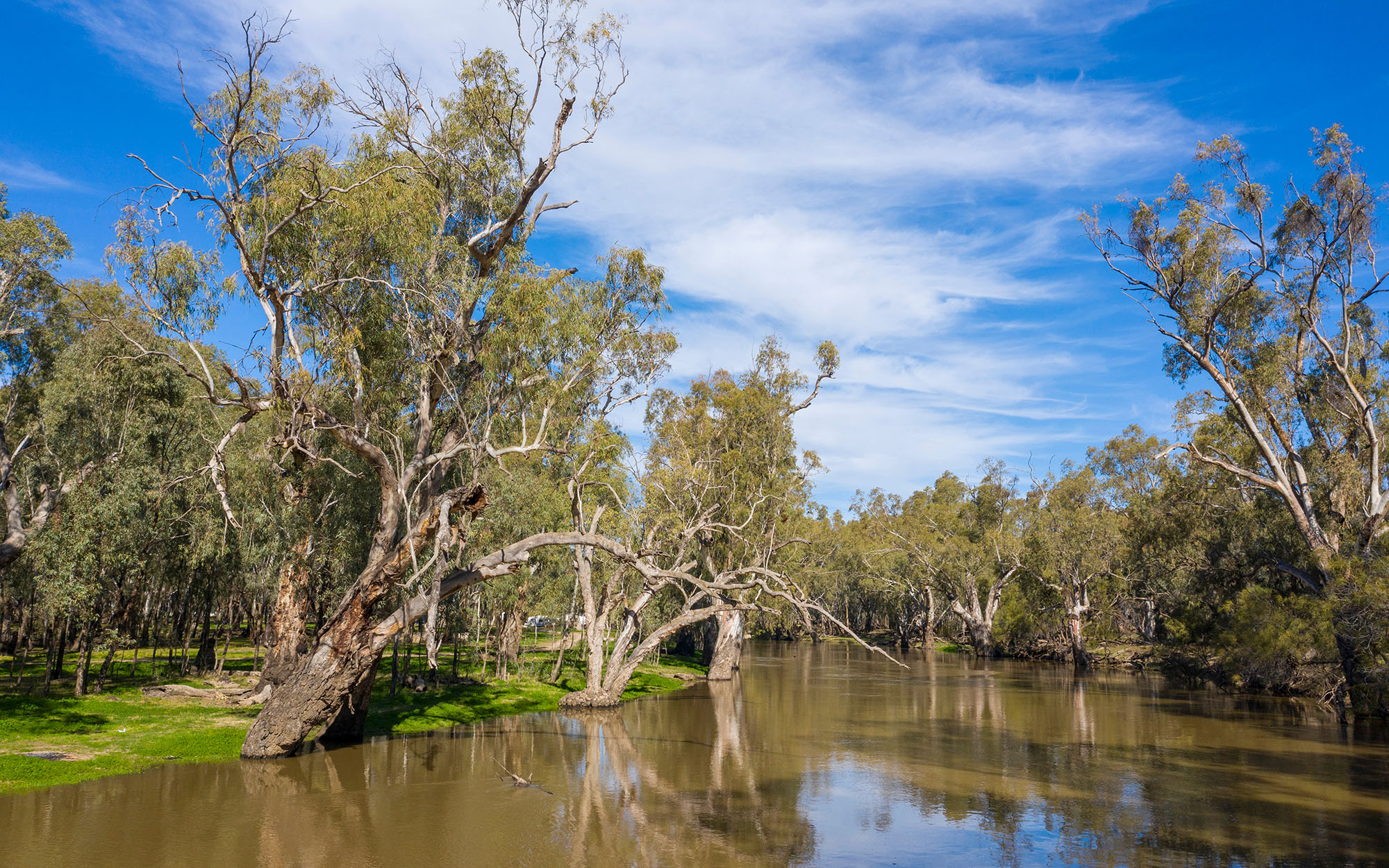 Woman dies after being pulled unresponsive from the Lachlan River near Hillston