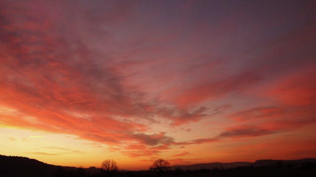 Fresh calls from farming groups to shorten daylight saving in NSW