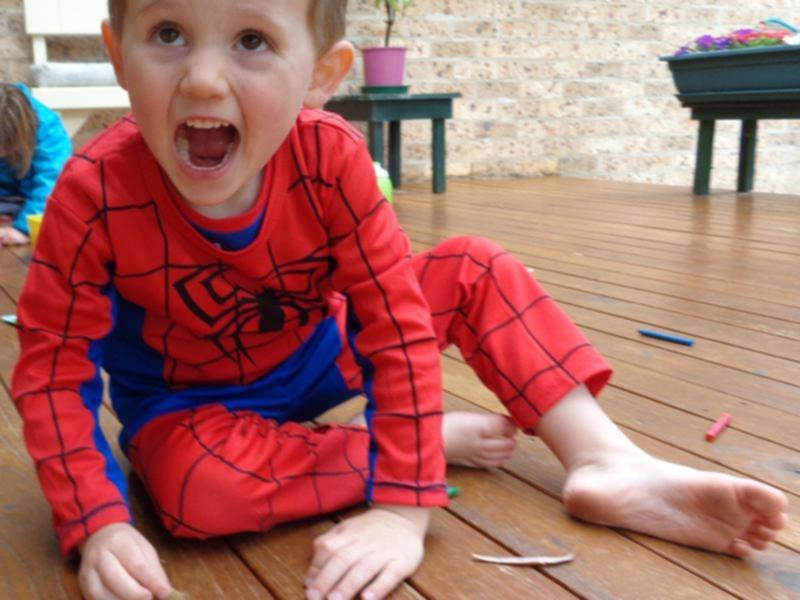 The long-delayed inquest into the 2014 disappearance of William Tyrrell continues 