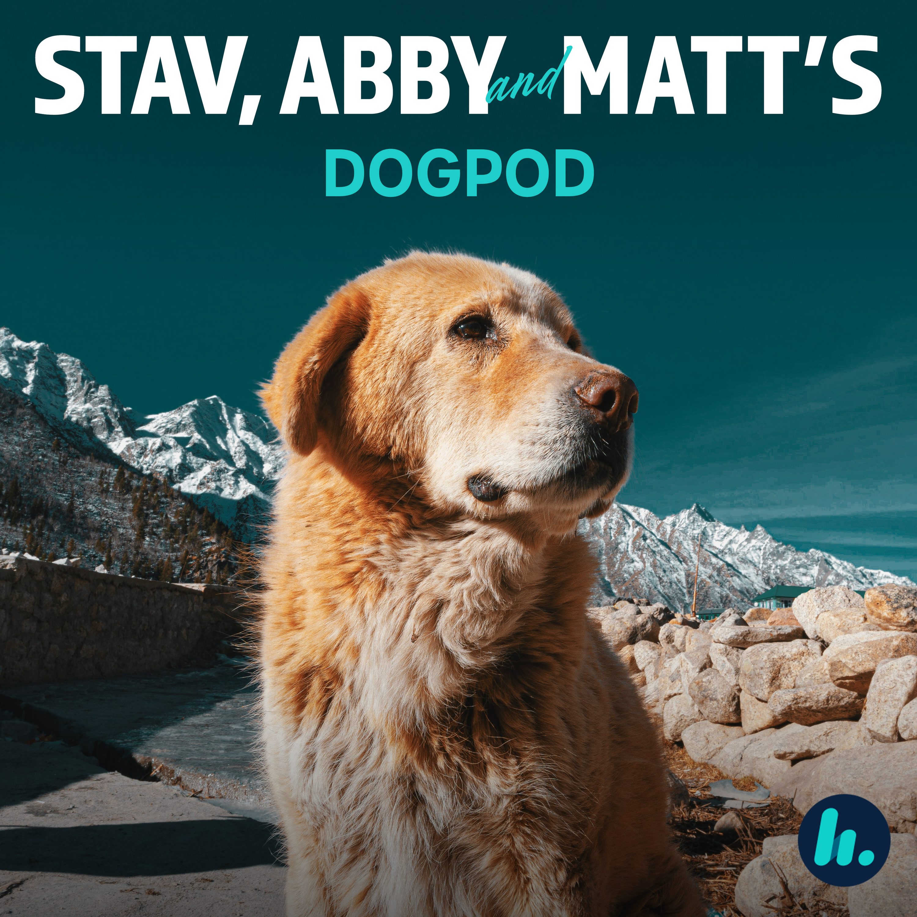 DogPod Episode 1: Dr Chris Brown chats to your dog!