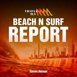 BEACH N SURF REPORT