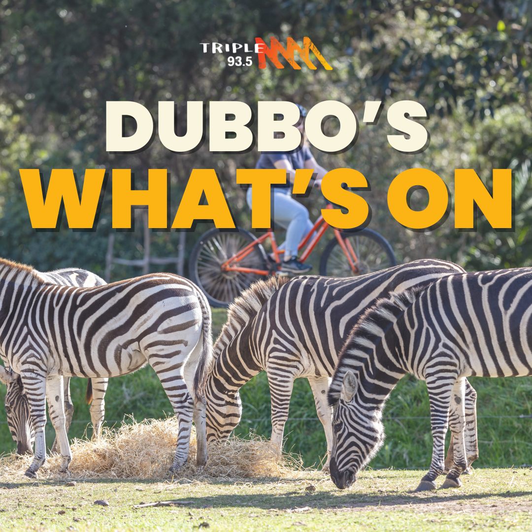 What's On Dubbo