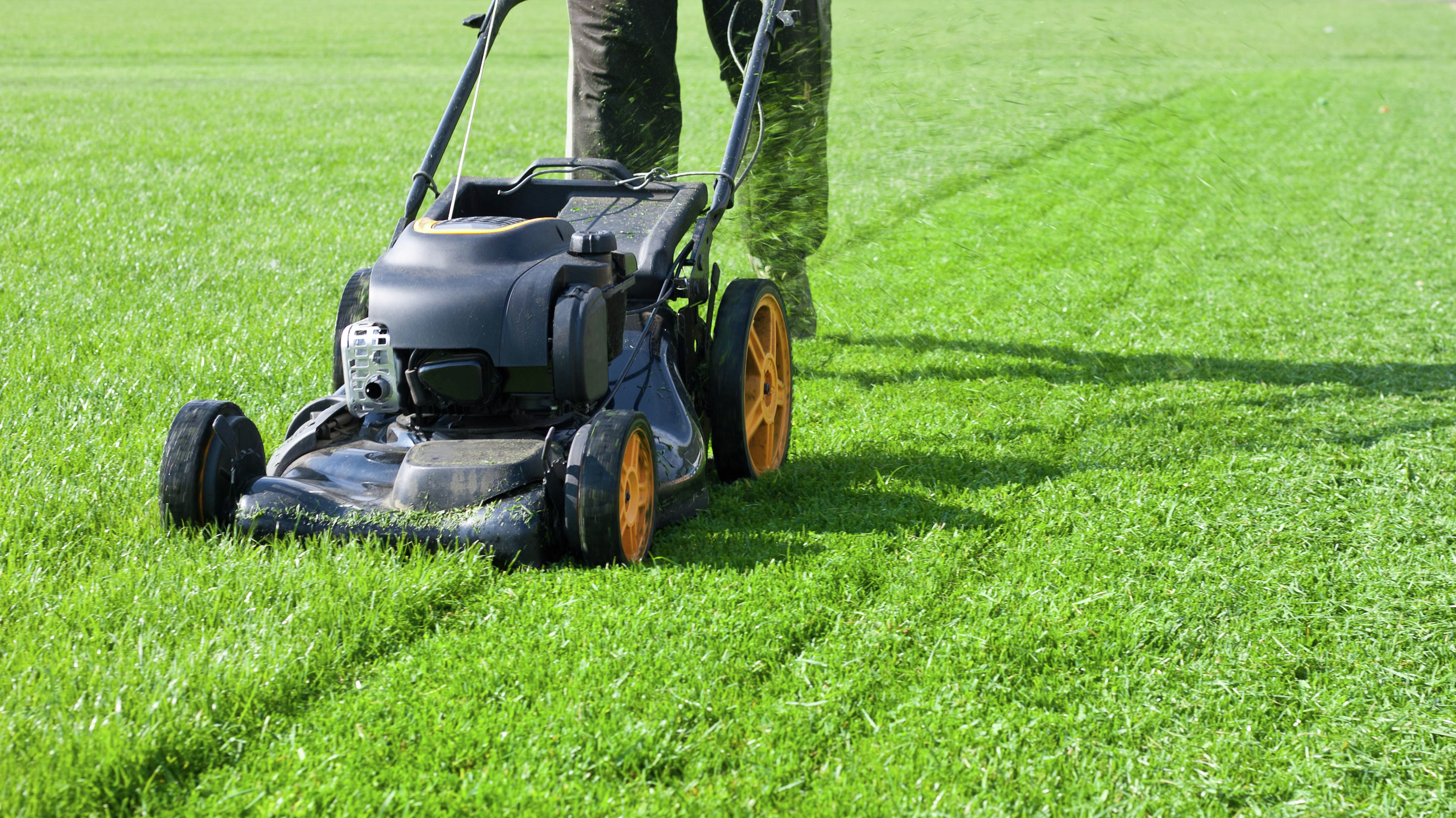 How much does mowing cost the Fraser Coast Council? 