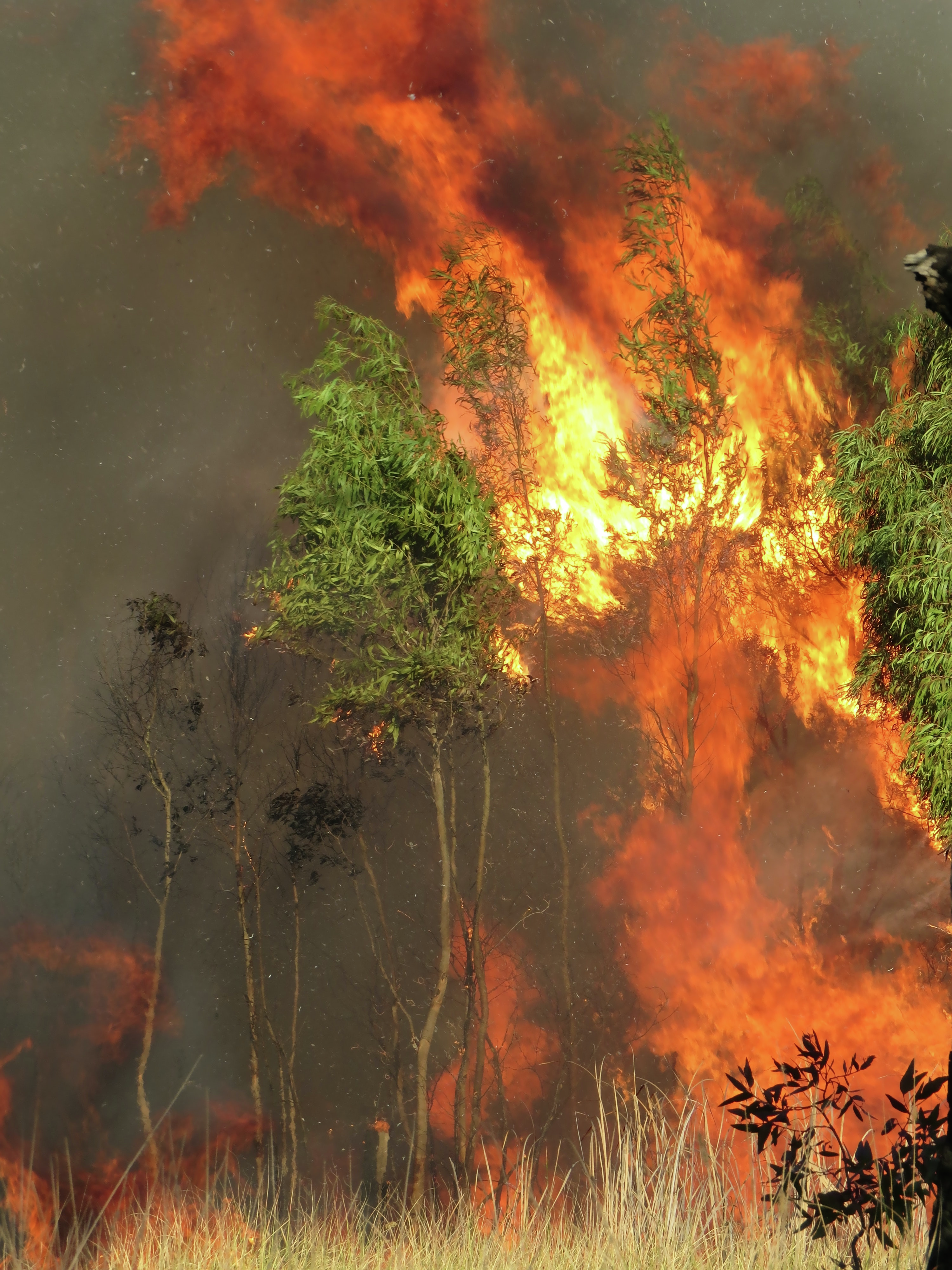 Council is urging residents to stay vigilant after a spate of bushfires