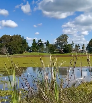 Fraser Coast Council's game-changing weed tech