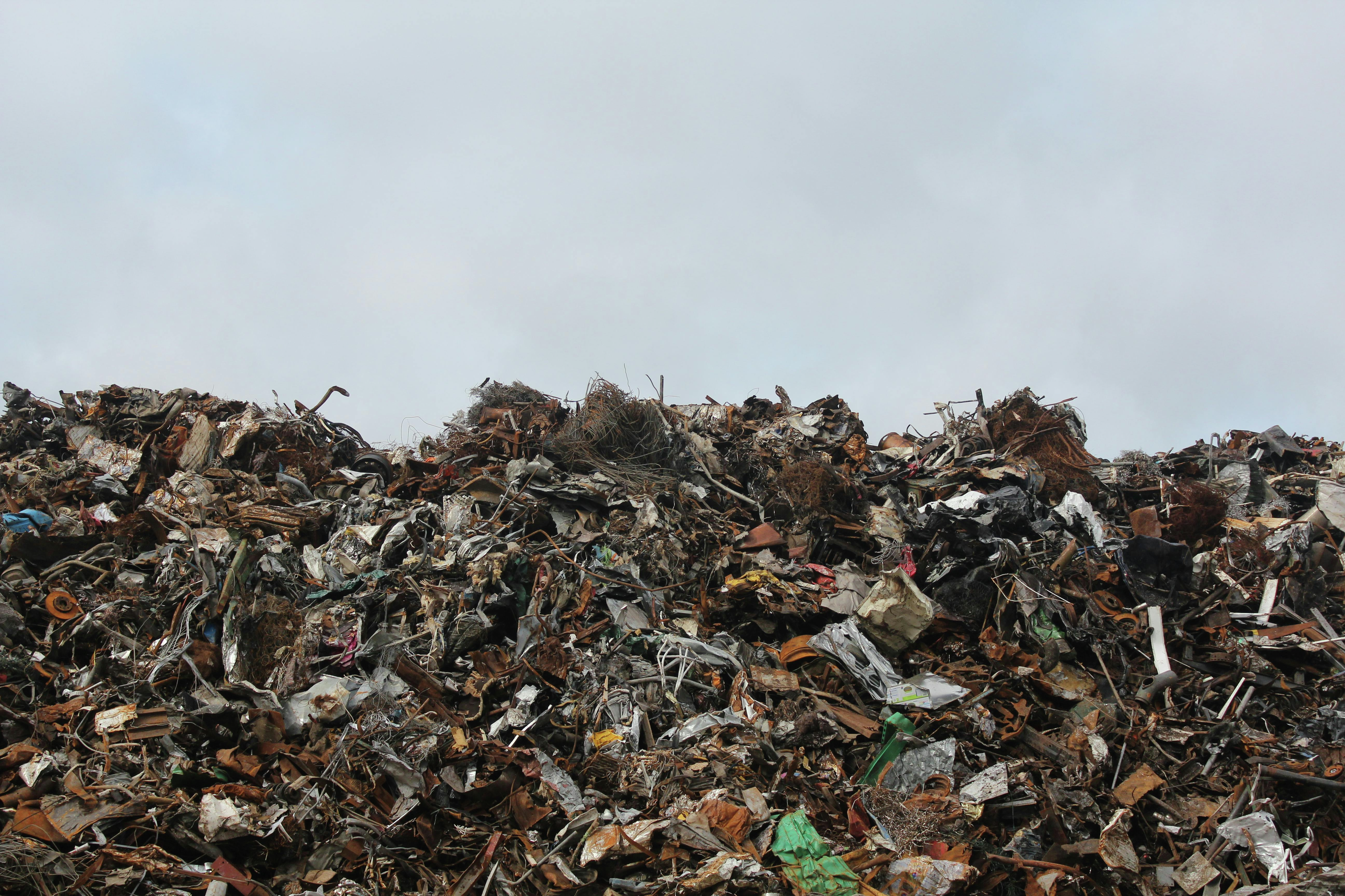 Could the next Covid-like disease be brewing in our rubbish dumps?