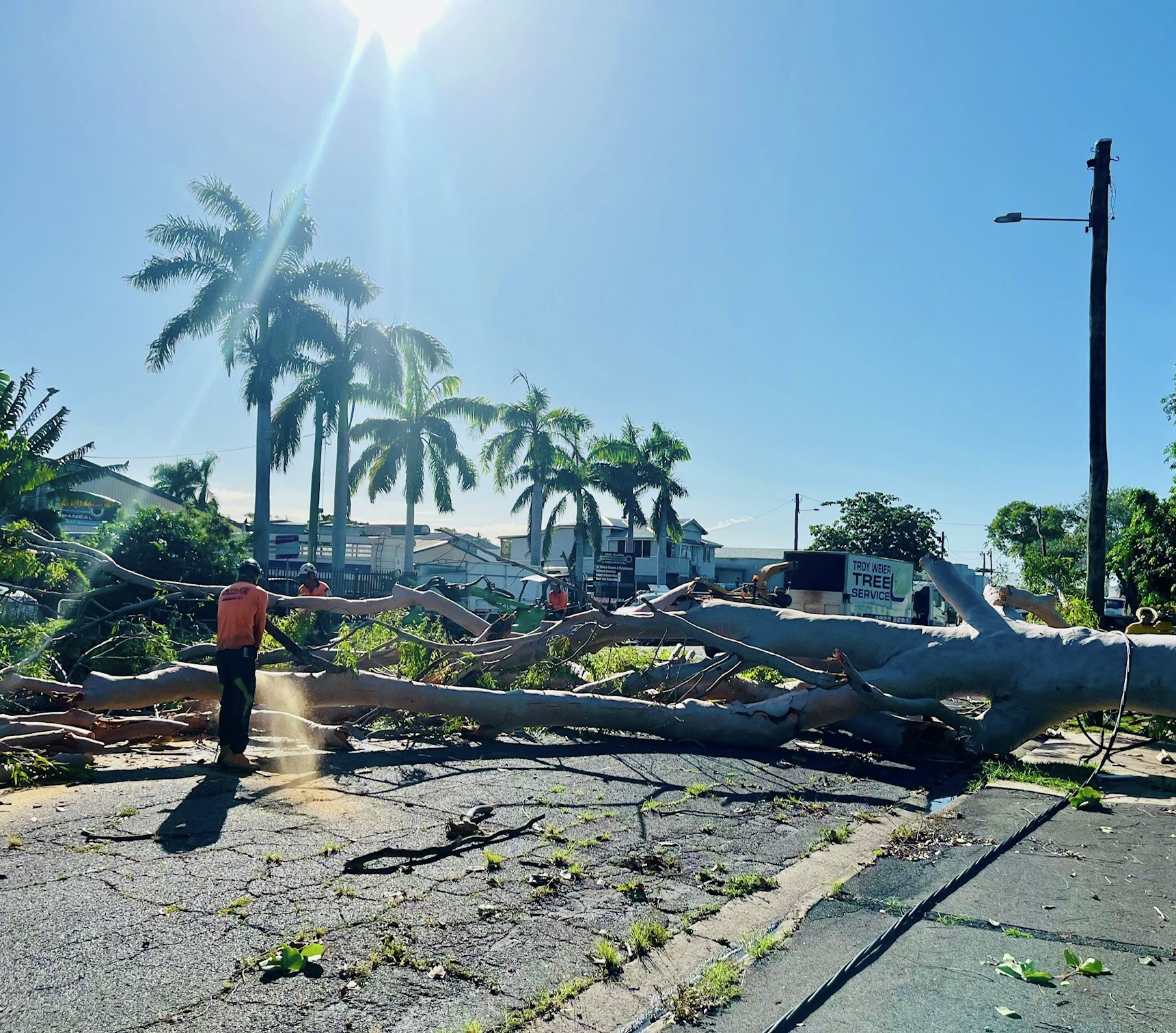 Cleanup efforts underway after storms bring down trees and powerlines