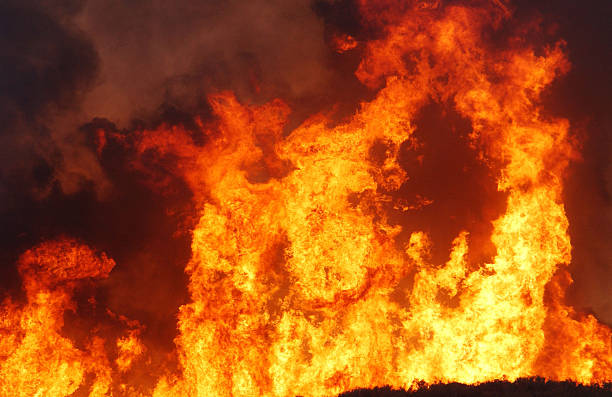 One dead in overnight cabin fire in The Whitsundays