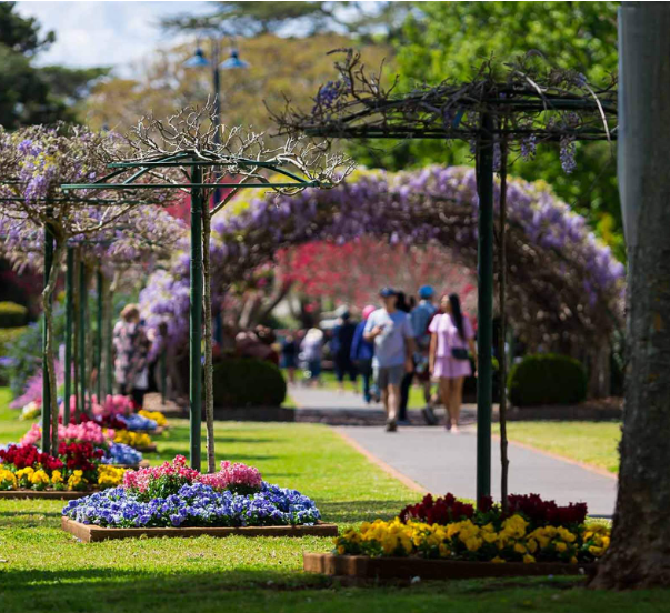 Council workers leverage Carnival of Flowers in pay rise fight