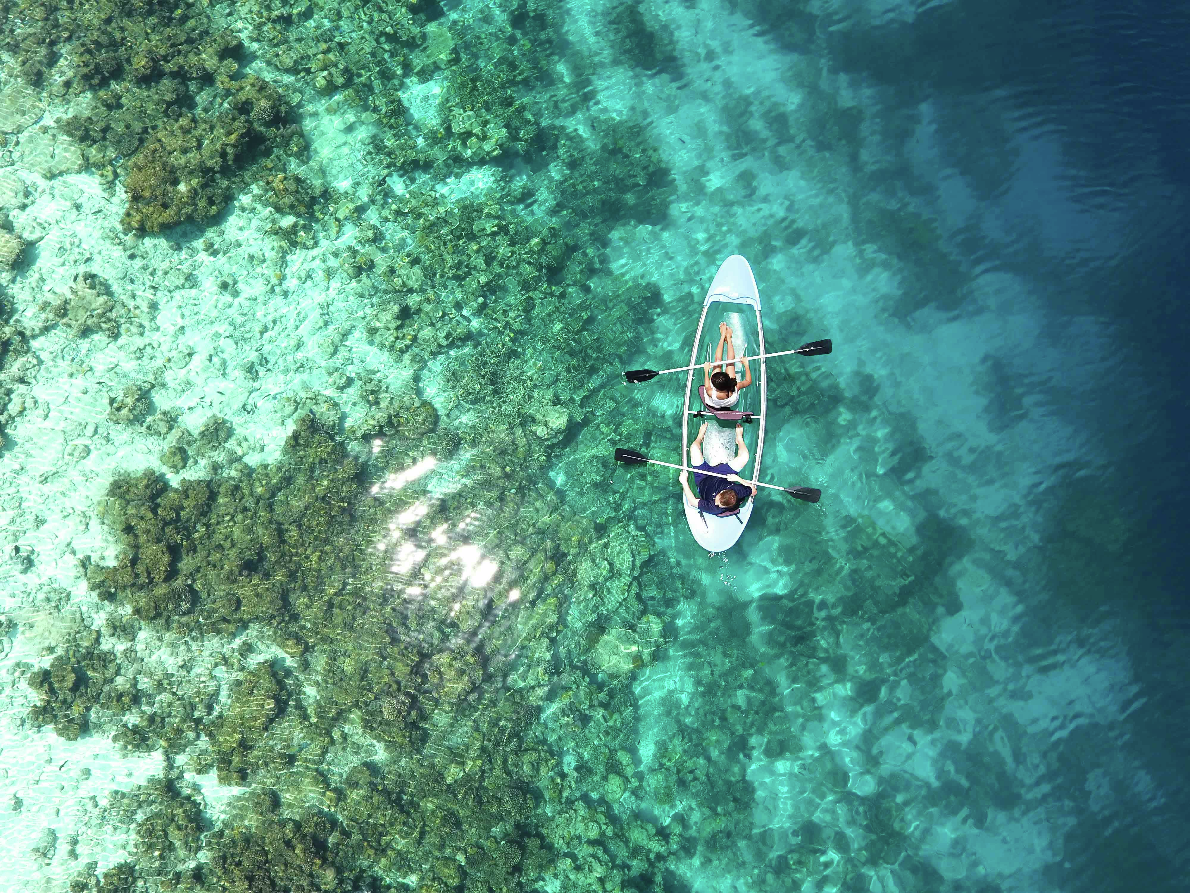 Safety warnings after multiple deaths on the Reef in the past year