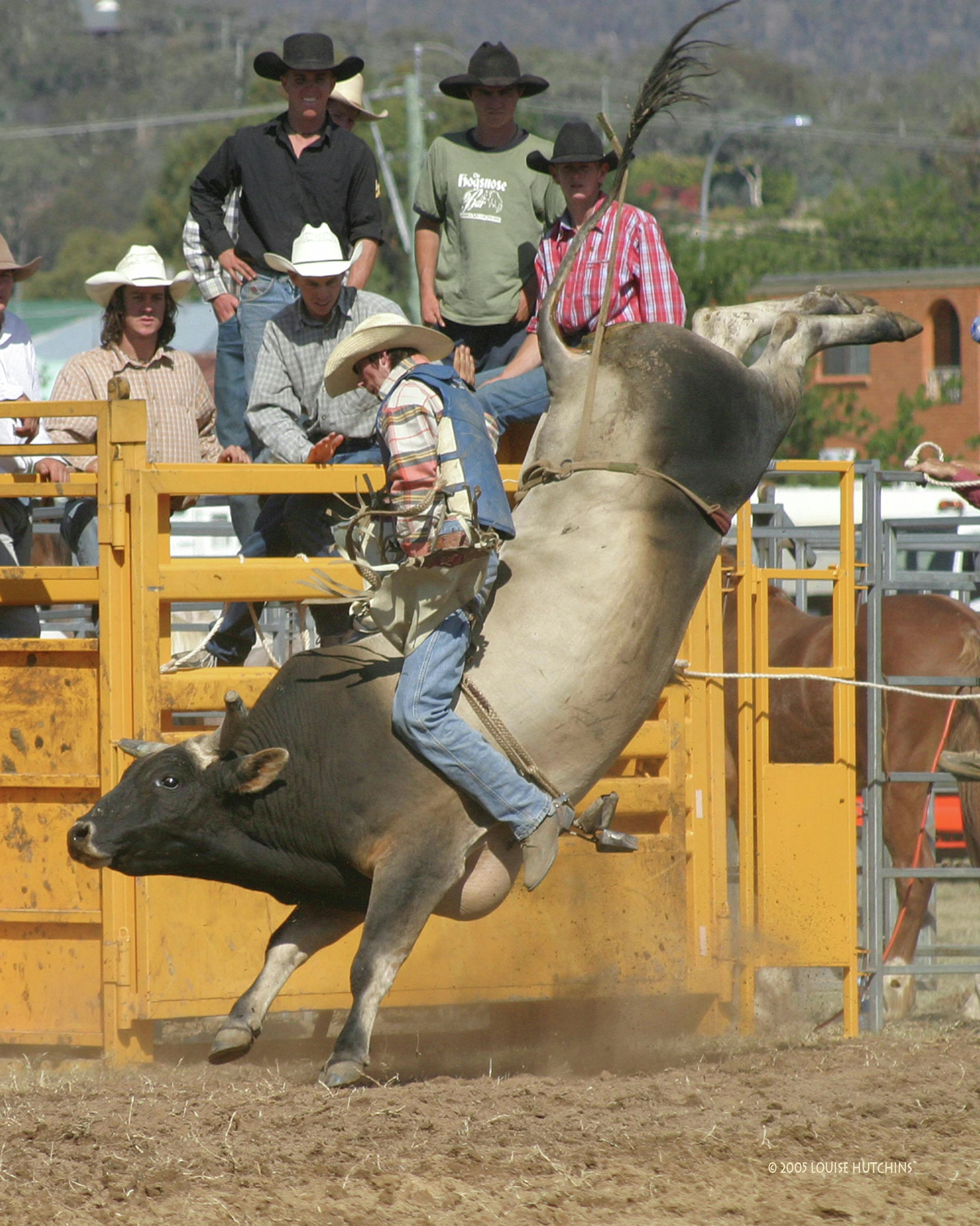 LNP Candidate for Traeger expresses Mount Isa Rodeo concerns