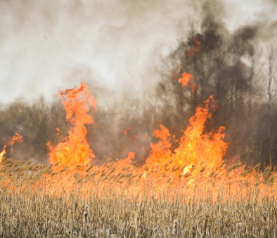 South West under fire ban following spate of blazes over weekend