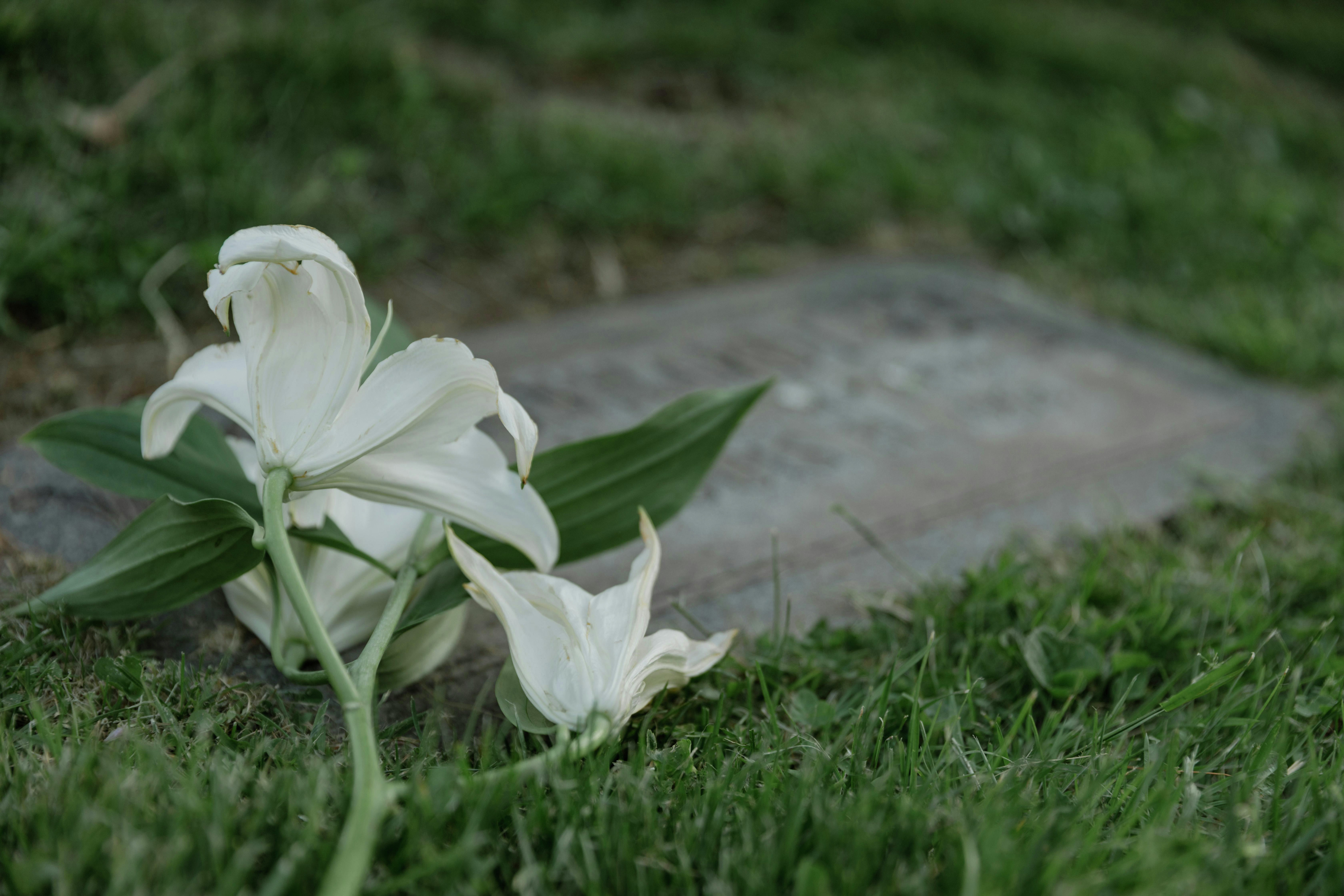 Wife pays tribute to husband killed in Bowen Basin mine