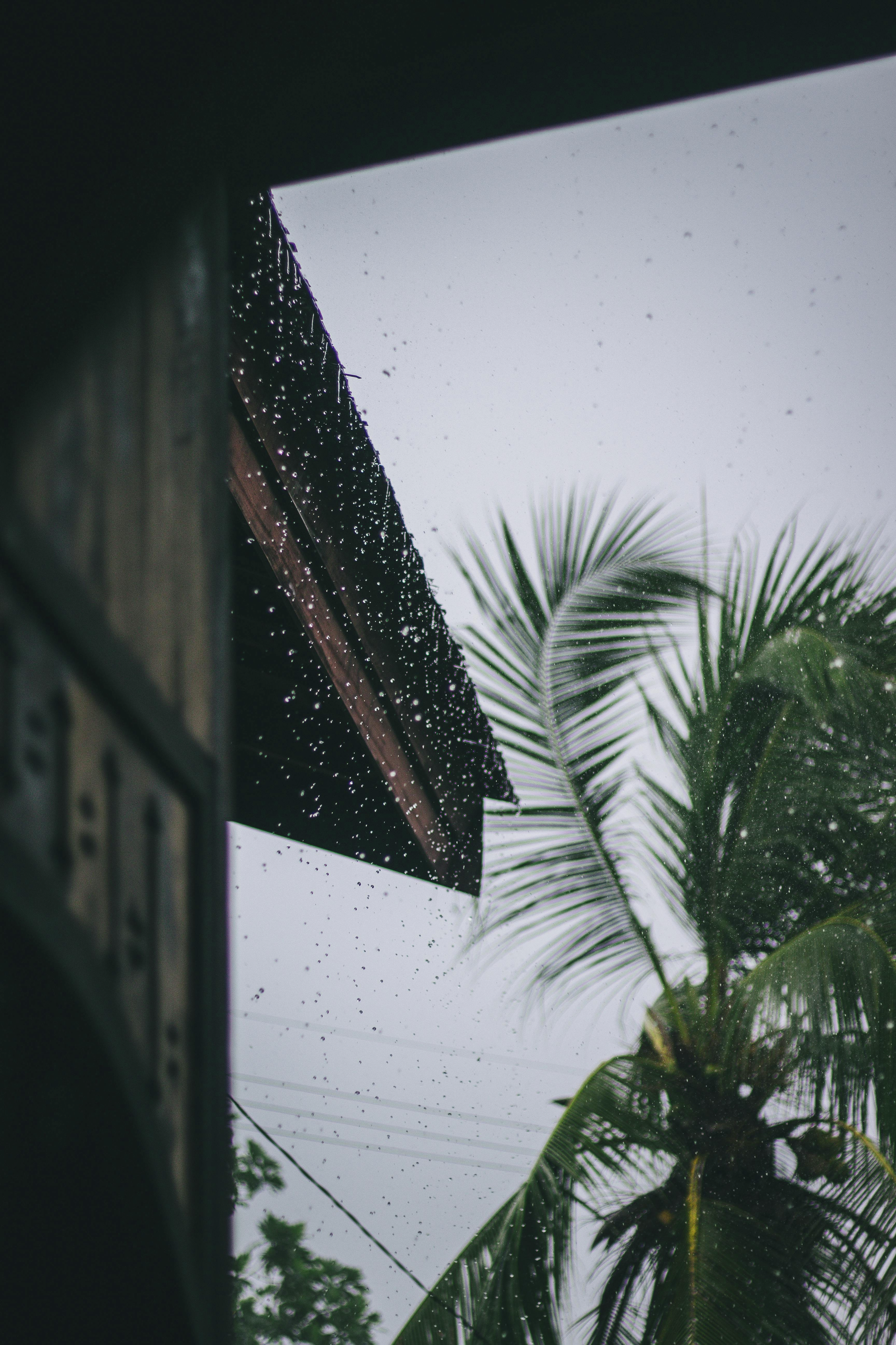 Overnight rain totals hit well over the 100mm mark in parts of FNQ