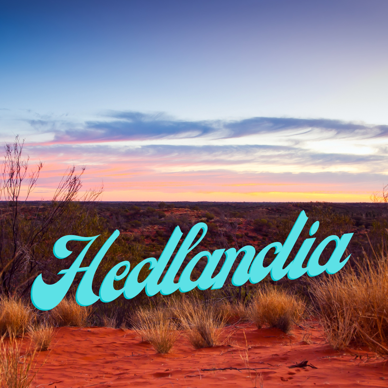 Hedlandia: Netball legend Fran Haintz