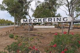 Driver dead and passengers injured as three utes collide in Wheatbelt