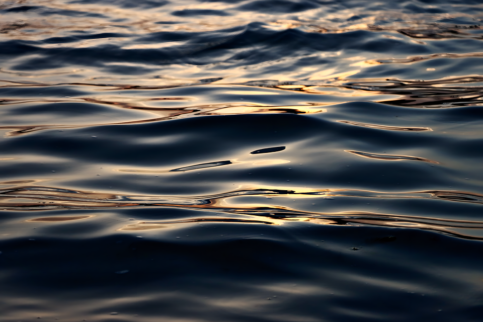 Paddle out held in honour of french diver