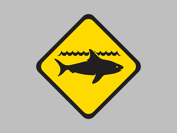 Shark alert issued for Bremer Bay following nearby whale stranding