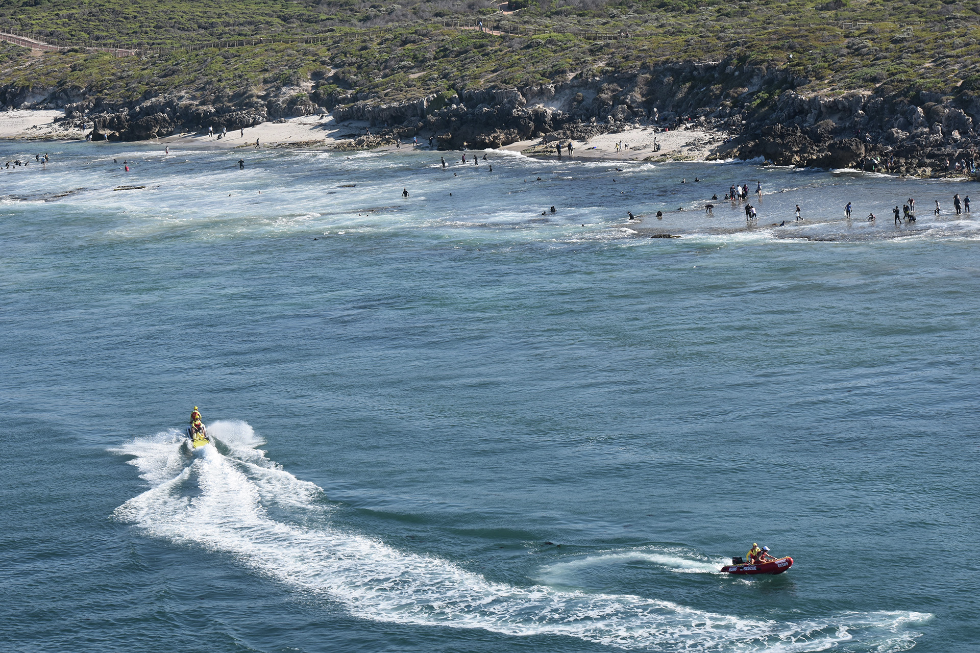 Abalone season kicks off today