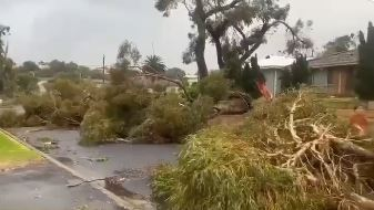City of Bunbury says it will take at least 3 weeks to cleanup storm mess