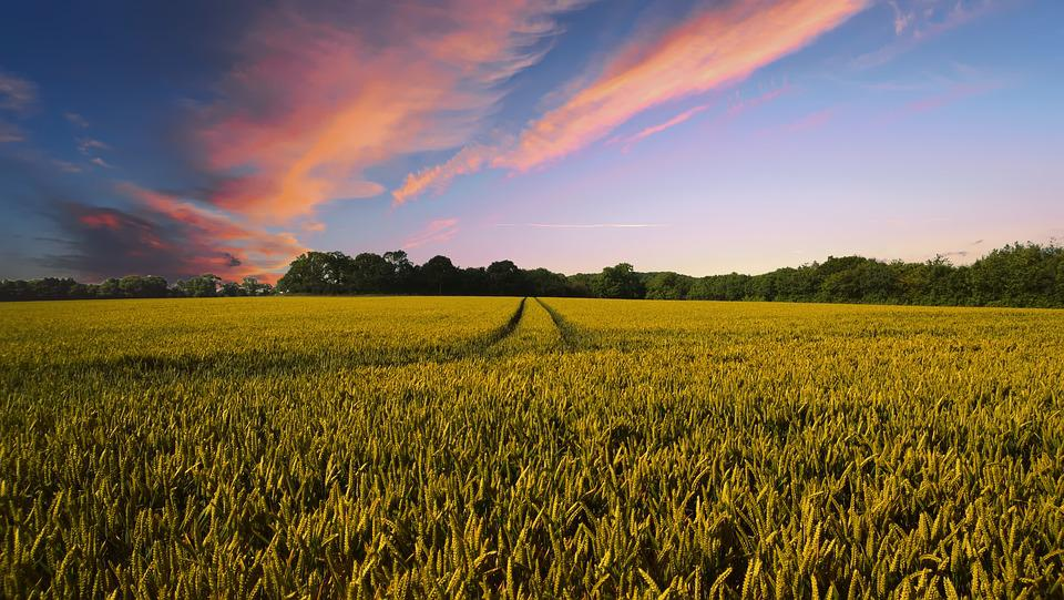 Farmer confidence on the up following winter rainfall