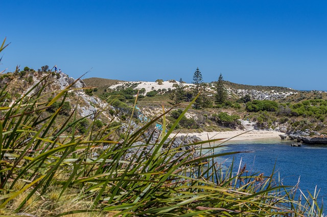 WA couple break their silence after surviving fatal Rottnest plane crash