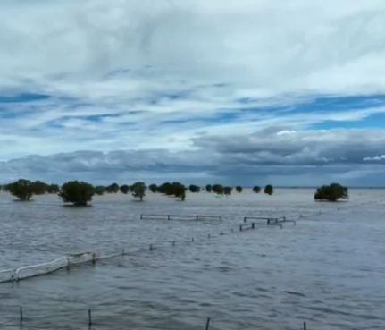 Report finds kids are traumatised after record breaking Fitzroy Crossing floods