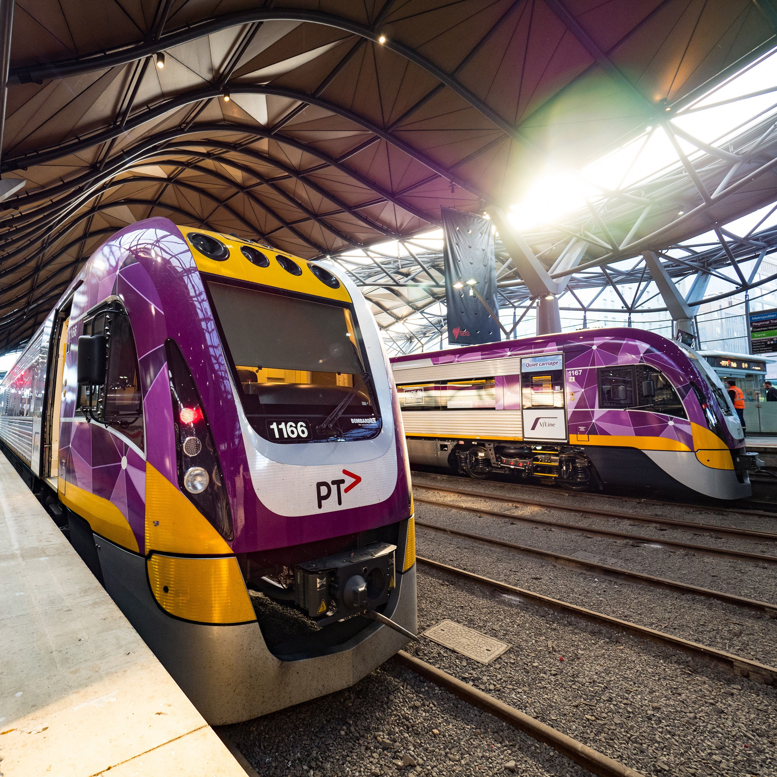 V/Line services delayed by animal strike