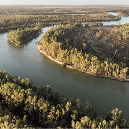 Northern Victorian Mayors plead for Murray-Darling Basin Plan rethink