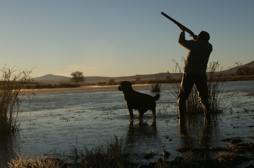 Mixed views as the Victorian Duck Hunting season winds down