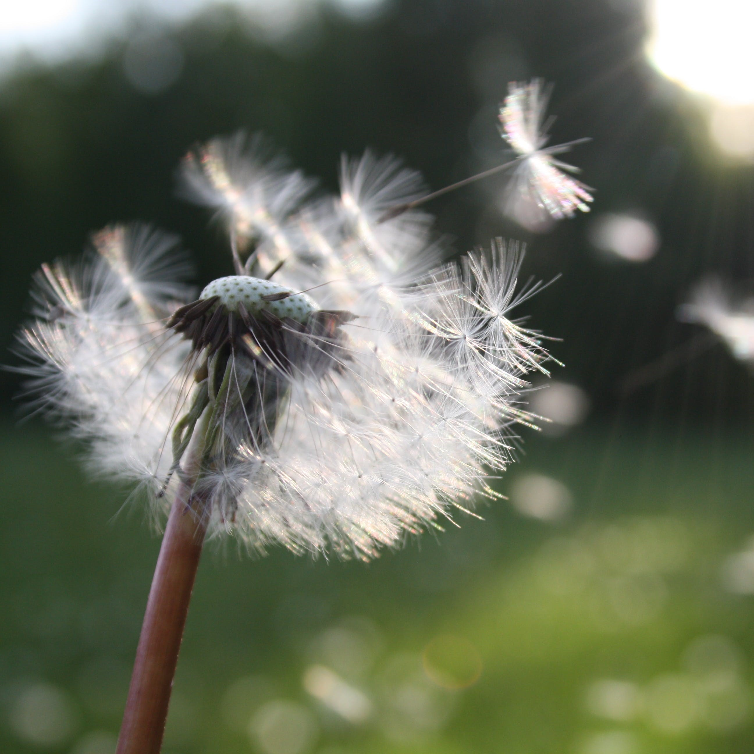 Blustery day forecast for Victoria