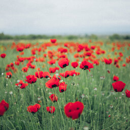 ANZAC Day services continue across Gippsland