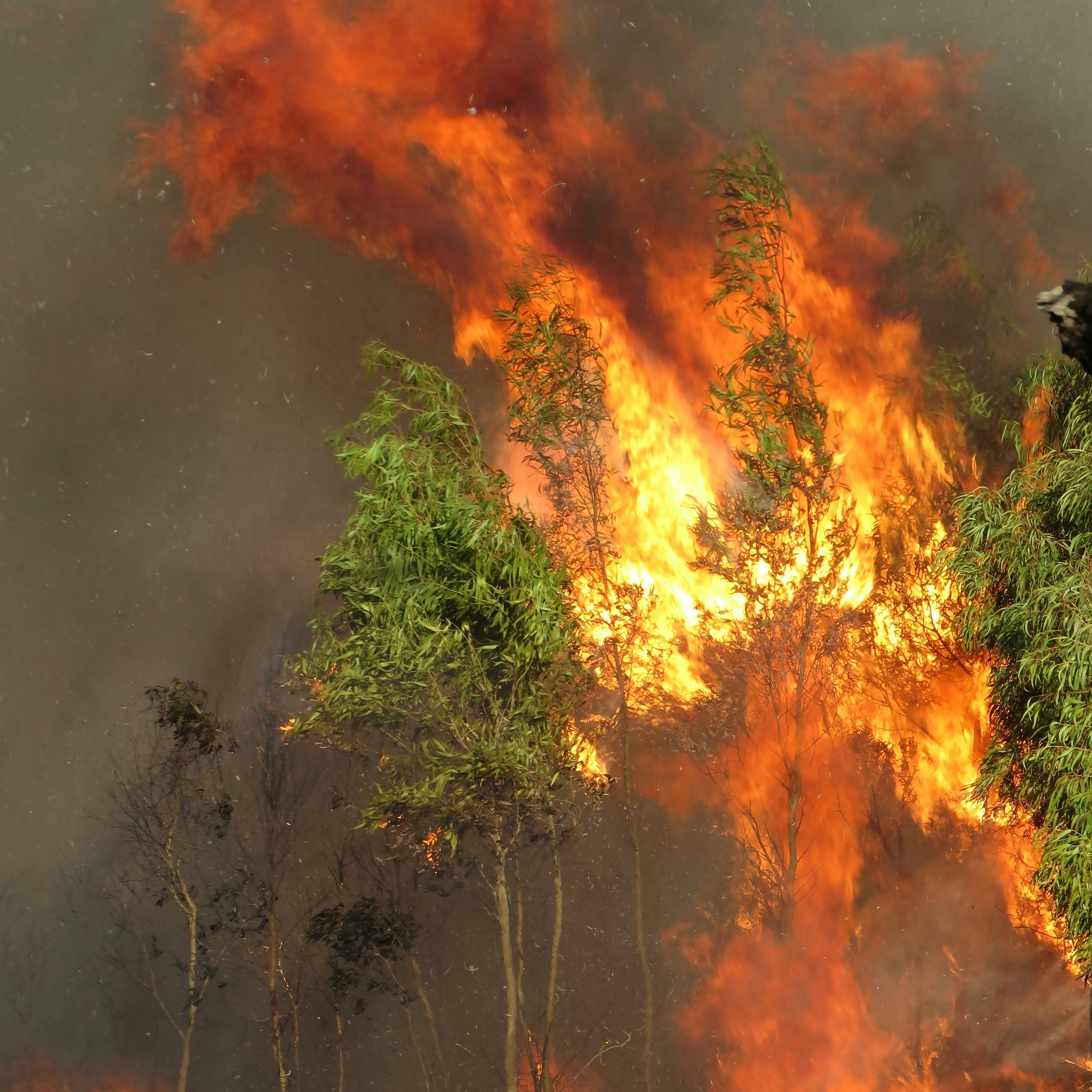 Two more local shires enter Fire Danger Period as of today