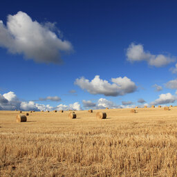 Farmers descend on Canberra to air their concerns