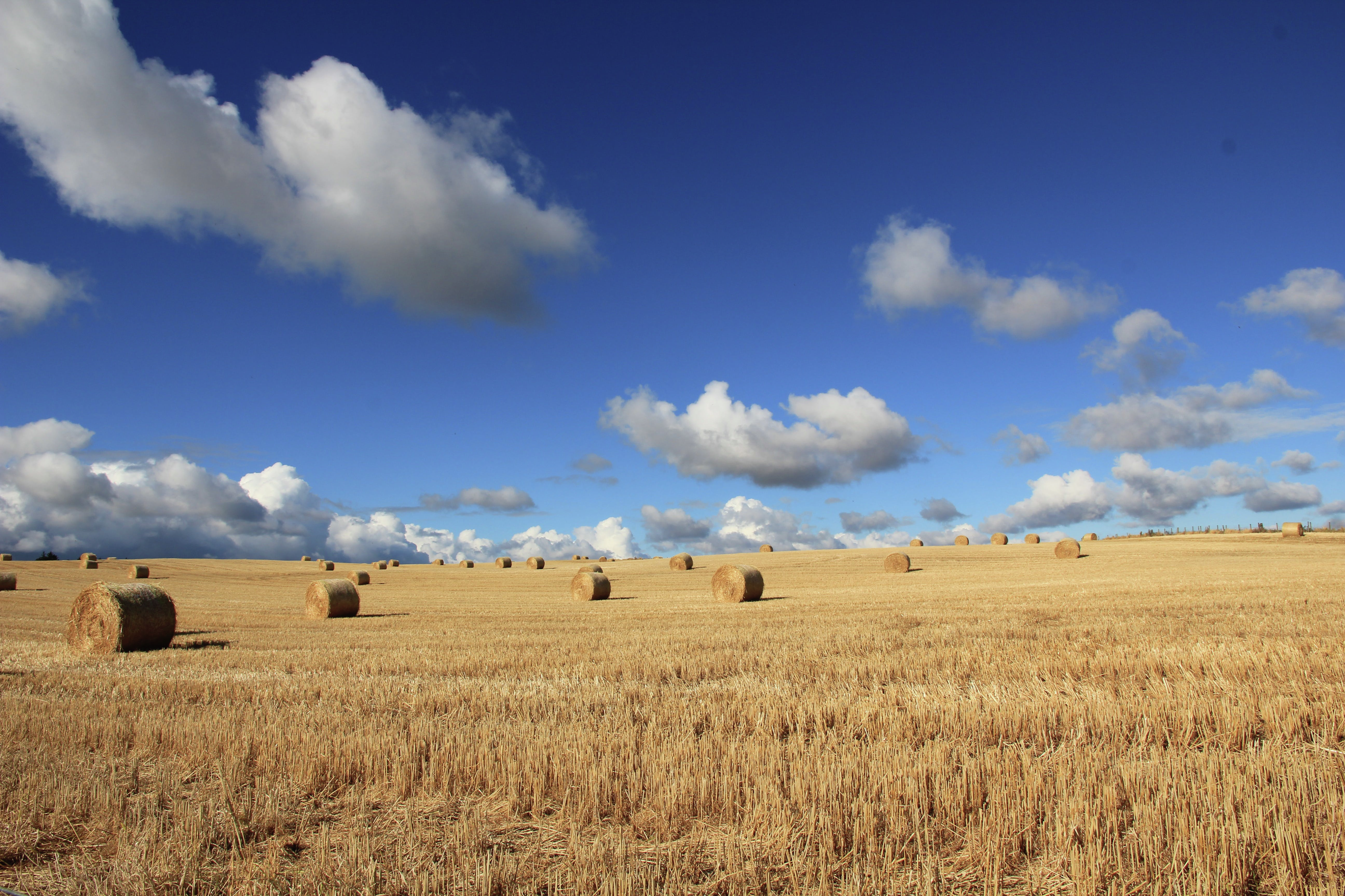 Shaky signs for Victorian Farmers in 2025