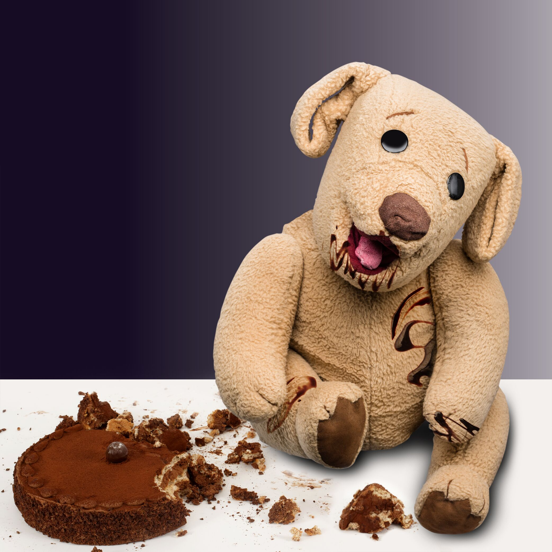 David Strassman's "The Chocolate Diet"