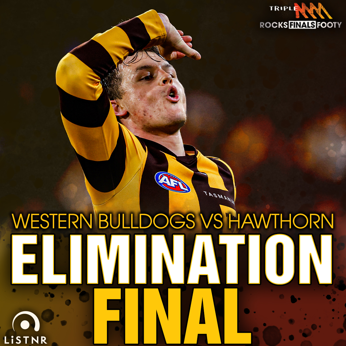 Mini Match - Western Bulldogs v Hawthorn - Elimination Final