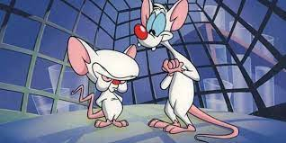 MEMORY MONDAY: Rob Paulsen the Voice Of Pinky From Pinky & The Brain