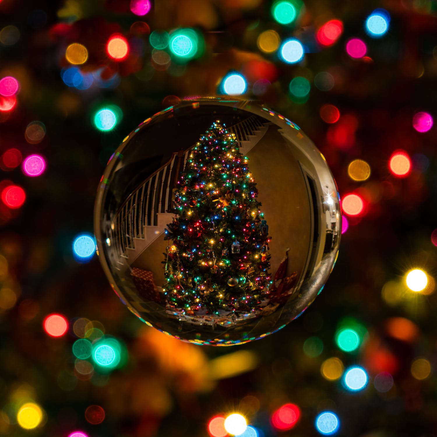 THURSDAY: Naughty Christmas Lights! Correct Predictions PLUS A Christmas Packing Hack