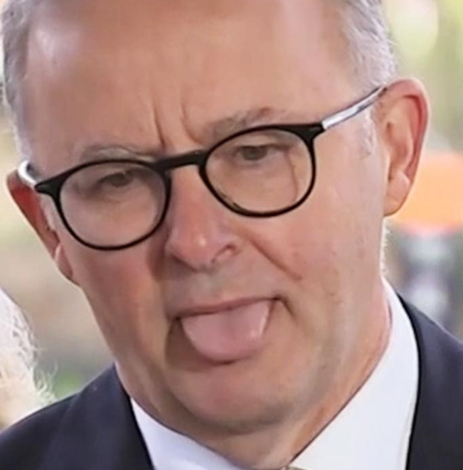 Support for Albanese Government continues to slide in latest NewsPoll