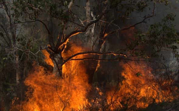 Bushfires rip through WA; Police find hints Victorian hiker's still alive; shooter on the run in NYC