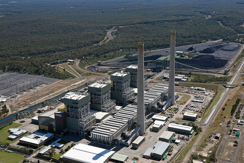 NSW gov extends life of coal-fired power station; Accused mushroom killer returns to court