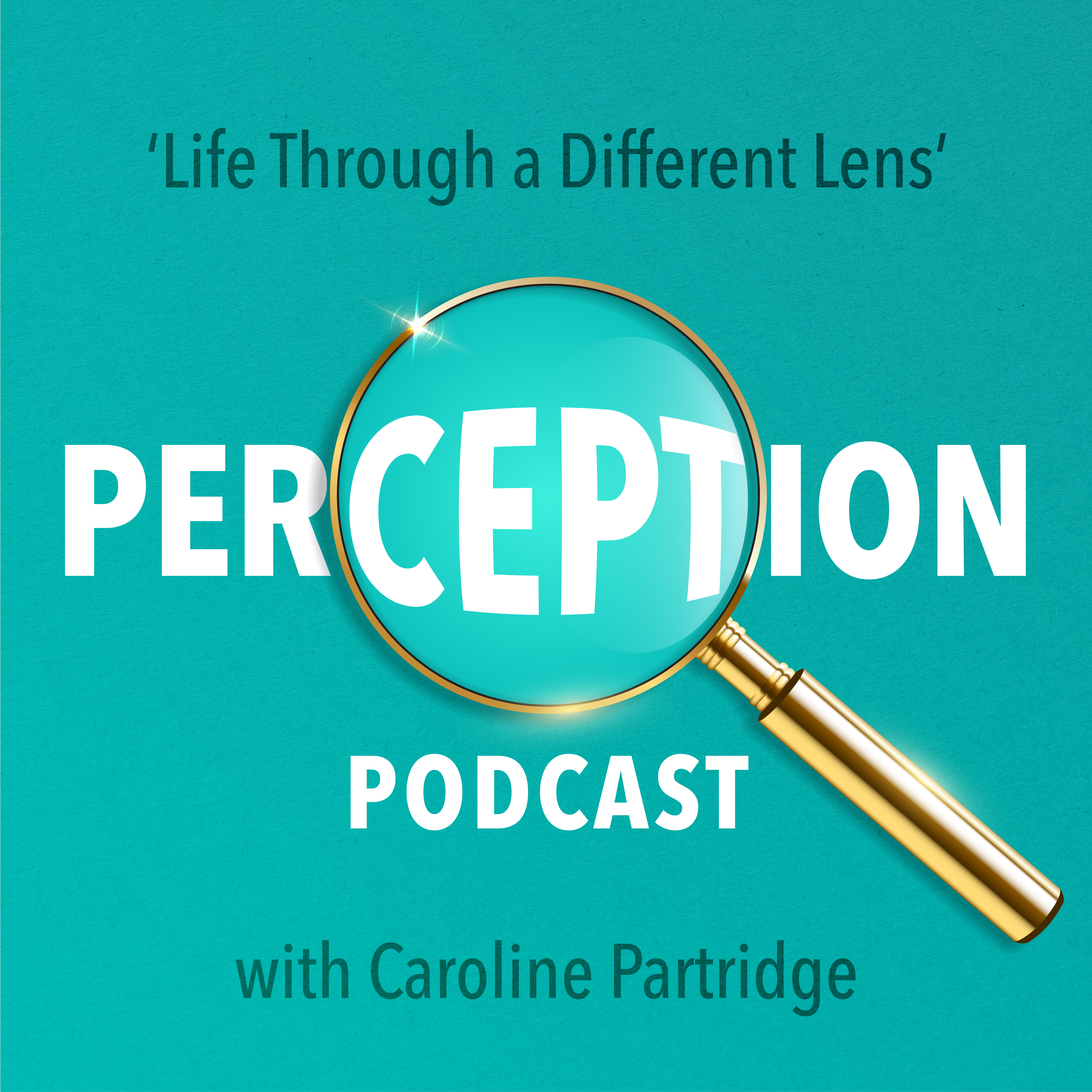 The Perception Podcast is a Year Old!