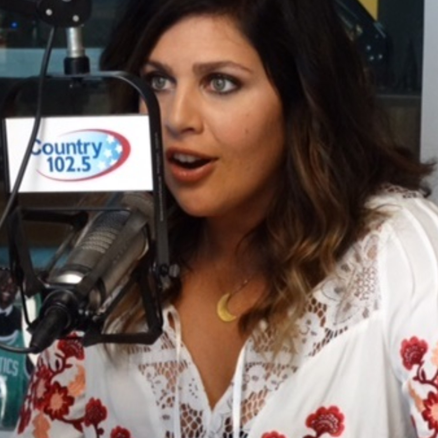 Lady A's Hillary Scott