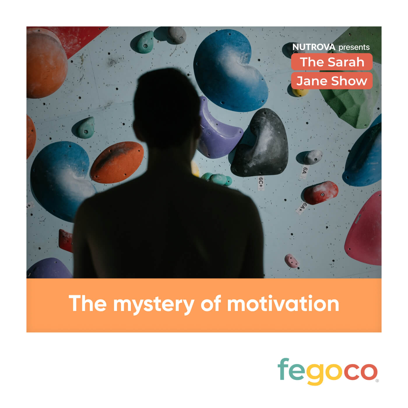 The Mystery of Motivation