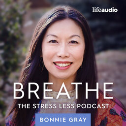 Is a Stress-Free Life Realistic? The One Godly Ambition to Rest That Will Change Your Life #95