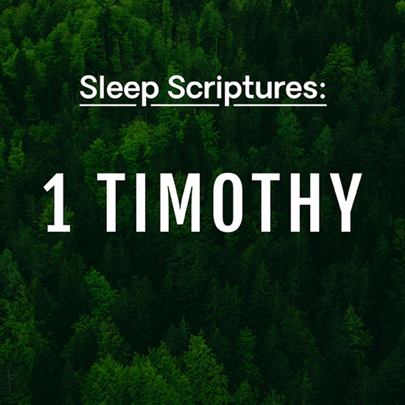 Sleep Scriptures: Paul's First Letter to Timothy